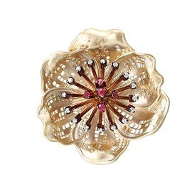 ROBERTO BRAVO DE ROSA GLHP0035