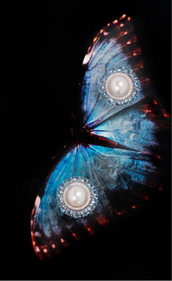 Utopia Jewel Pearl LARA