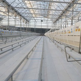 GREENHOUSE