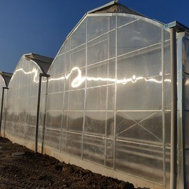 GREENHOUSE