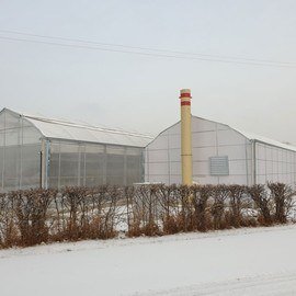 GREENHOUSE