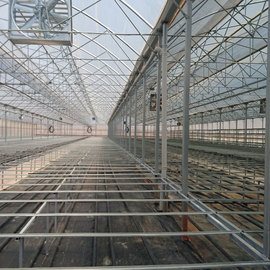 GREENHOUSE