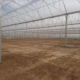 GREENHOUSE