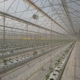 GREENHOUSE