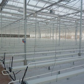 GREENHOUSE