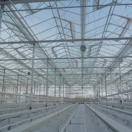 GREENHOUSE