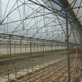 GREENHOUSE