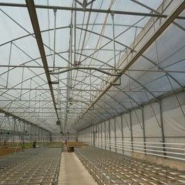 GREENHOUSE