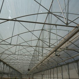 GREENHOUSE