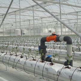 АВТОМАТИЗАЦИЯ