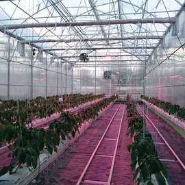 АВТОМАТИЗАЦИЯ