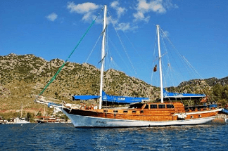 C-Taner Standard Plus Yacht