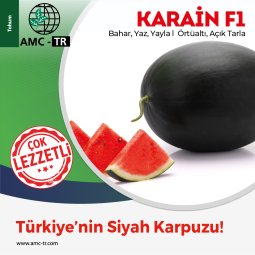 KARAİN