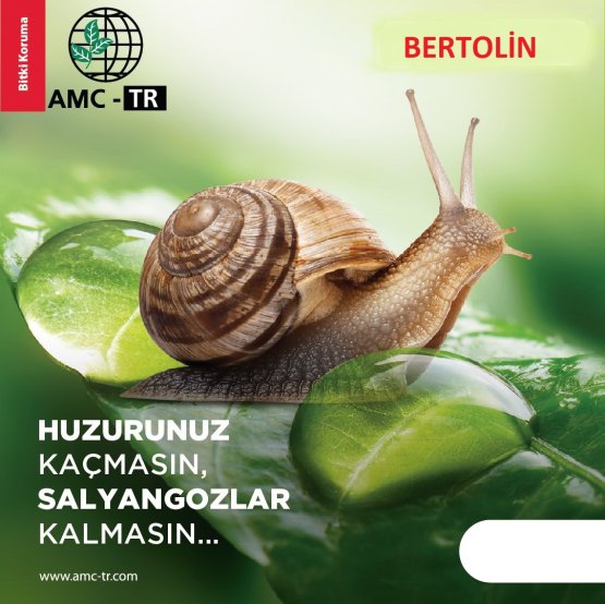 BERTOLİN®