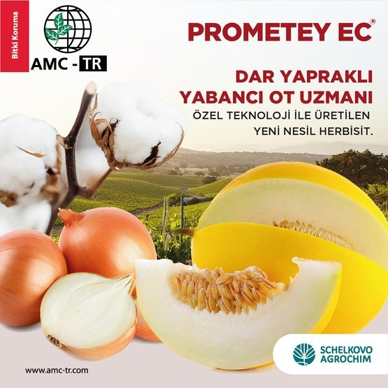 PROMETEY EC