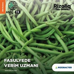 RIZOLIQ TOP BEANS