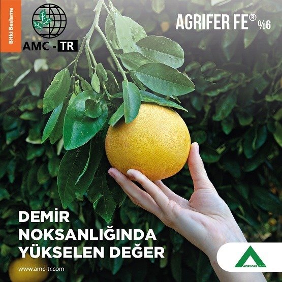 AGRIFER FE %6