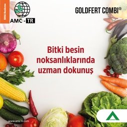 GOLDFERT COMBI