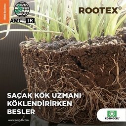 ROOTEX