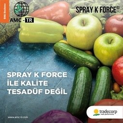 SPRAY K FORCE