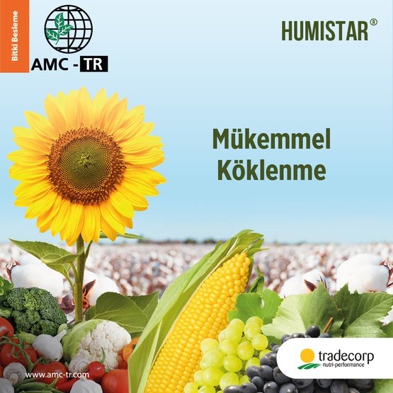 HUMISTAR