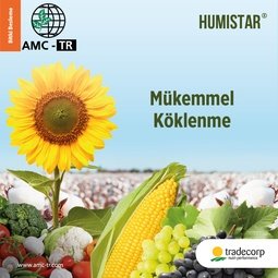 HUMISTAR