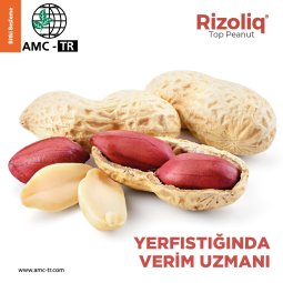 RIZOLIQ TOP PEANUT