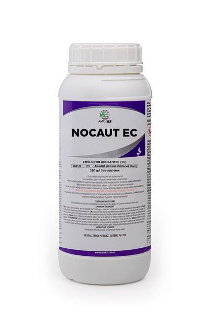 nocaut