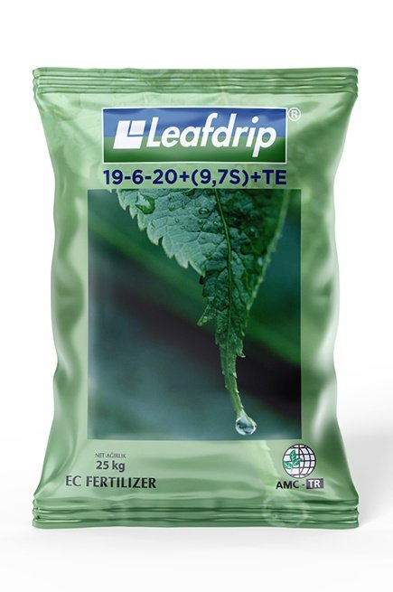 Leafdrip 19-6-20+(9,7S9+Te