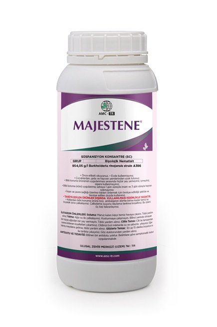 Majestene