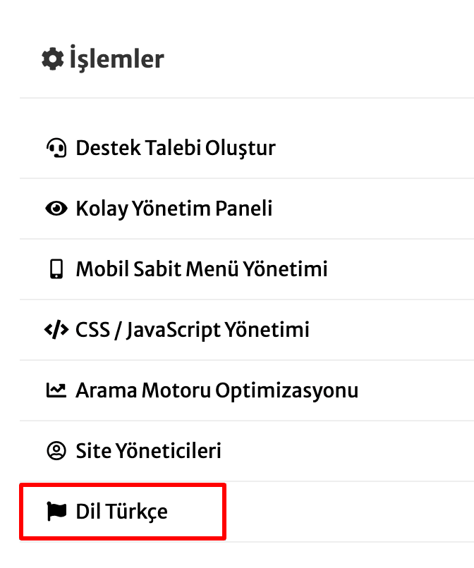 web sitesinde ana dili değiştirmek