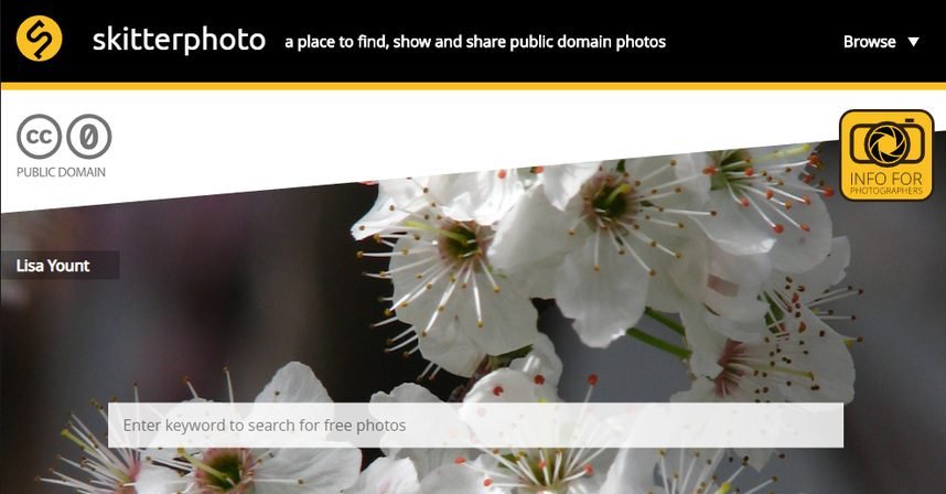 skitter photo cc0 ücretsiz web görsel kütüphanesi