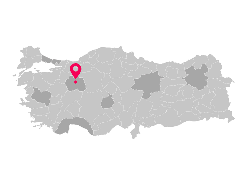 İnteraktif Türkiye Haritası