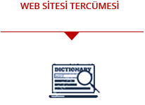 web-sitesi-tercüme