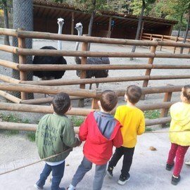 Pembe Mavi Düşler Anaokulu Gündüz Bakım evi Kreş