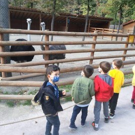 Pembe Mavi Düşler Anaokulu Gündüz Bakım evi Kreş