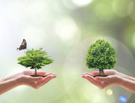 Our-Enviromental-Policy