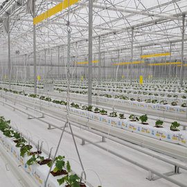 OTOMASYON SİSTEMLERİ