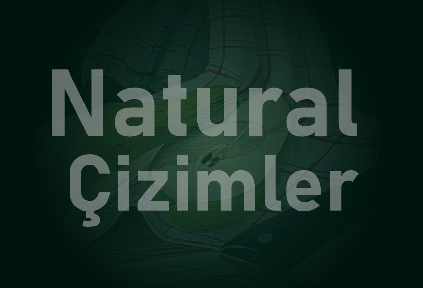NATURAL-ÇİZİMLER-864x590