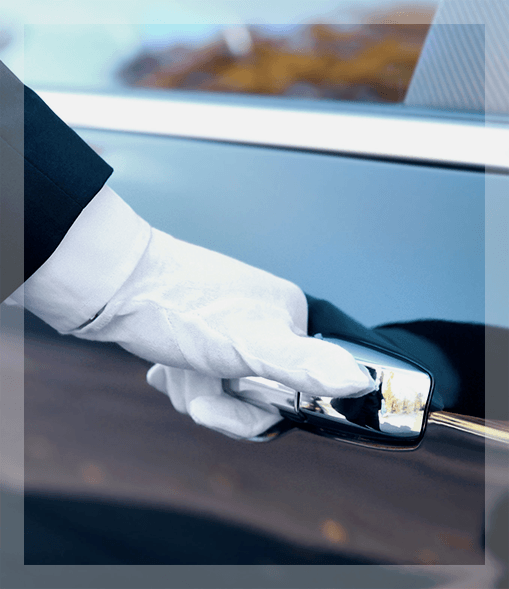 drvilla-vip-transfer