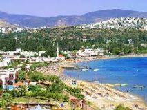 Bitez İstanbul Nakliyat