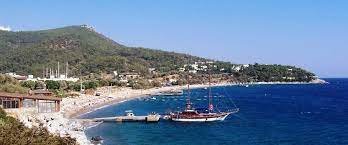 Yalı İstanbul Nakliyat