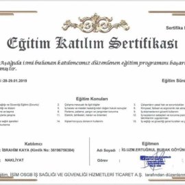 Kayaoğlu Nakliyat | Güven Taşır