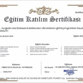 Kayaoğlu Nakliyat | Güven Taşır