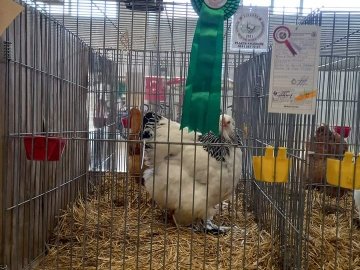 Türker AYGÜNDÜZ