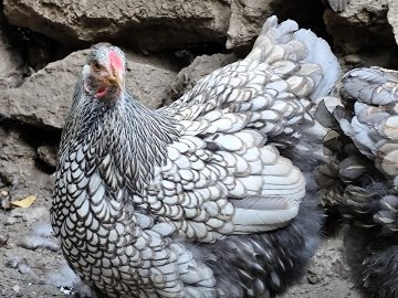 Eca649B0-28C1-4C24-A974-8Ddce0D55097