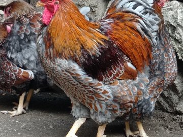 46D5B4Bb-D277-4Dc5-Ba23-9Af5Ce838D10