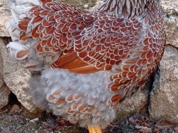 B246B06A-Aeaa-4Ef6-9B33-3C1399E2087F