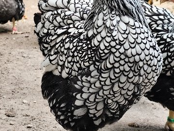 2155Fba7-Ec49-47D3-951F-22Cd0A2113A5