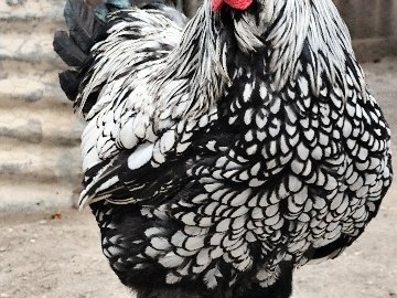 A77Ad3B2-9B3D-4Ca9-8Ab2-E71Ac69F05F5